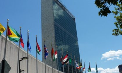 L’Algérien Noureddine Amir élu président des Comités des droits de l’Homme de l’ONU