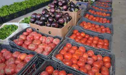 Sécurité alimentaire : couverture atteignant les 100% des besoins nationaux dans certaines filières