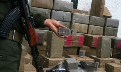 Trafic de drogue au Maghreb : le rapport qui incrimine Mohammed VI et le Makhzen