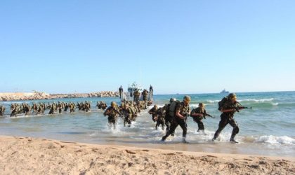 Impressionnant exercice des forces combinées de l’ANP à Oran