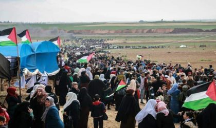 L’OLP réitère son rejet absolu des tentatives de l’entité sioniste de déplacer les Gazaouis