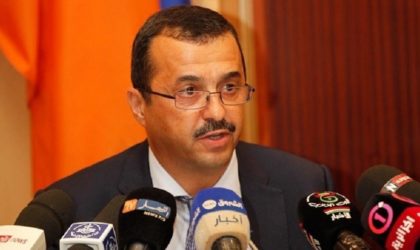 Sonatrach et Sonelgaz alimenteront en gaz naturel l’axe Reggane-Adrar-Timimoun