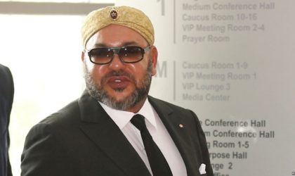 Prétendue relation Hezbollah-Polisario : un diplomate arabe ridiculise Mohammed VI