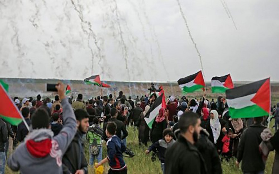 Palestine révolutions