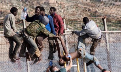 Ceuta : 8 000 personnes sont arrivées depuis lundi, 4 000 renvoyées au Maroc