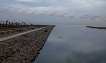 Chute d’un véhicule touristique dans les eaux de Oued El-Harrach