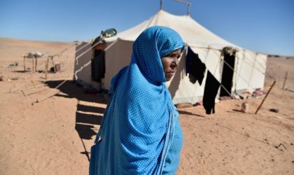 Exposition de photographies et portraits vidéos dédiée aux femmes sahraouies