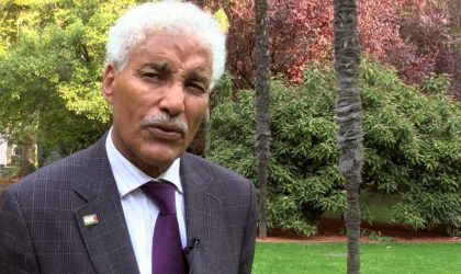 Sahara Occidental : appel à une mobilisation pour un référendum d’autodétermination