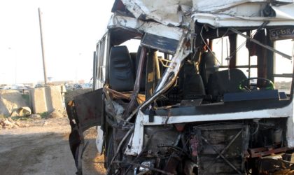 El-Bayadh : un mort et trente blessés dans une collision entre un bus et un chameau à Chellala