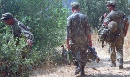 Deux bombes de confection artisanale détruites près de Bougara à Blida