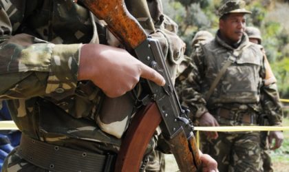 Vaste ratissage dans les monts de Bouira : six abris pour terroristes détruits