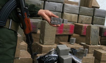 Saisie de 16 tonnes de kif traité et 18 kg de cocaïne en provenance du Maroc