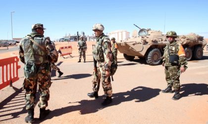 Quatorze éléments de soutien au terrorisme arrêtés à Tébessa