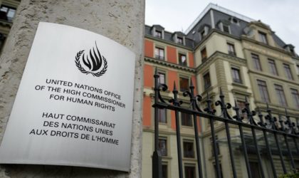 Droits de l’Homme en Algérie : comment Amnesty veut influencer l’ONU