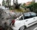 Telemly : des arbres en bordure de route chutent sur des voitures garées