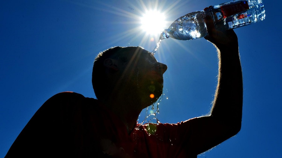 canicule températures