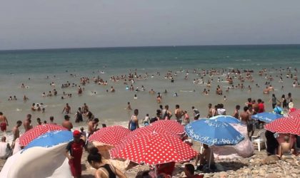 Deux chevaux sèment la panique sur une plage à Tipaza