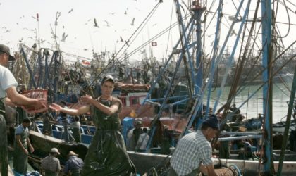 Accord de pêche UE-Maroc : les flottes européennes devraient quitter les eaux territoriales sahraouies