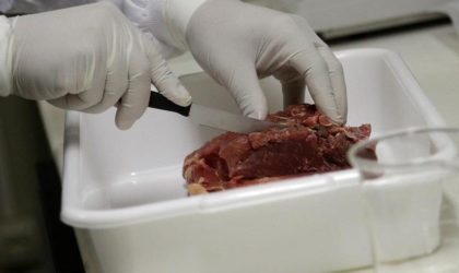 Viande liée à la cocaïne saisie : deux conteneurs ont déjà été détruits