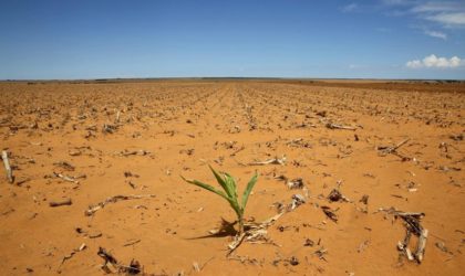 La FAO alerte sur la dégradation des sols dans le monde