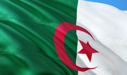 L’histoire du drapeau algérien selon Nedjib Sidi Moussa