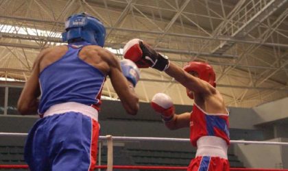 Boxe : décès de l’entraîneur Dahmani Athmane (FAB)