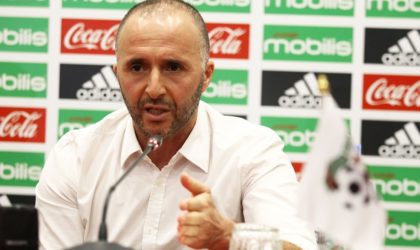 Equipe nationale : Belmadi veut instaurer un nouveau projet de jeu