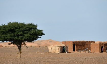 Un nouveau système pour la collecte de l’eau de pluie au profit des pays du Sahel