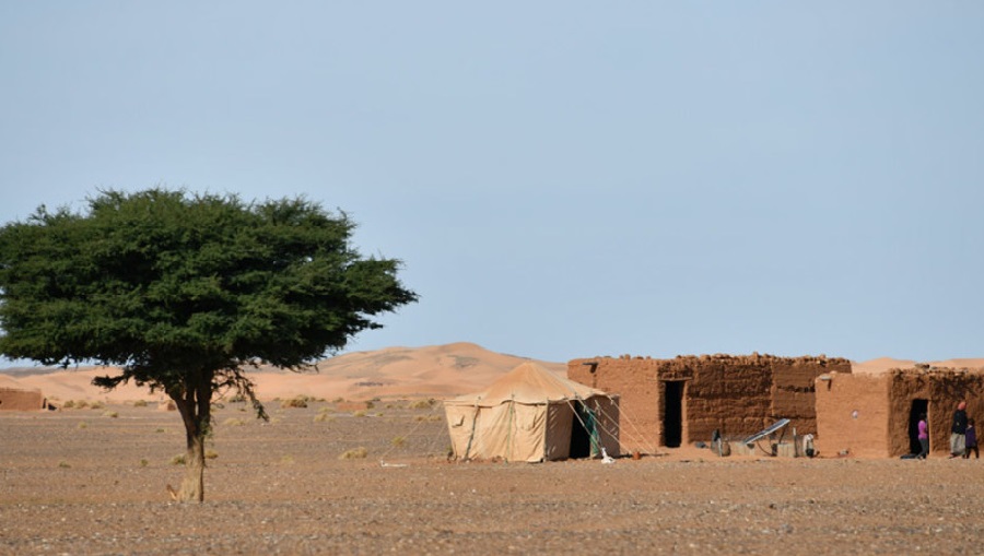 l'eau, FAO