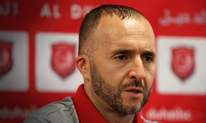 Djamel Belmadi officiellement entraîneur de l’équipe nationale de football