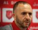 Djamel Belmadi officiellement entraîneur de l’équipe nationale de football