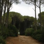 forêt bouchaoui Alger