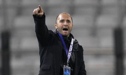 EN : Belmadi aurait refusé une grosse offre des Emirats