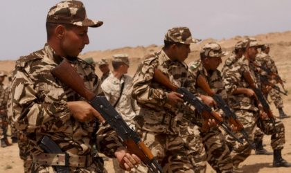 L’armée marocaine se prépare-t-elle à attaquer le Front Polisario ?