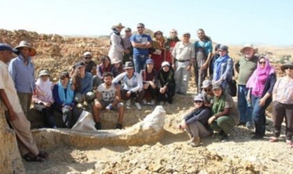 Les restes du Stegodon d’Aïn El H’nech exposés à la presse à Alger