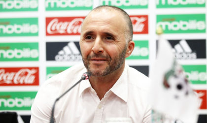 Belmadi : «Les joueurs sont décidés à relever le défi à Banjul»