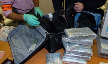 France : 17 tonnes de cocaïne saisies en un an