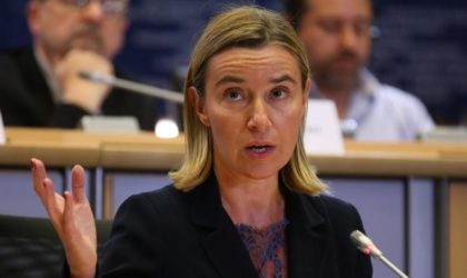 Sahara Occidental : Federica Mogherini sermonne les leaders européens