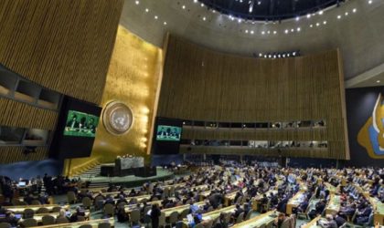 ONU : l’Algérie élue au bureau de la conférence intergouvernementale sur la biodiversité marine