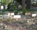 Une association interpelle Macron sur les cimetières français en Algérie