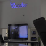 condor