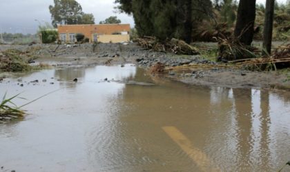 De fortes pluies provoquent un gouffre géant sur une route à Ruisseau (Alger)