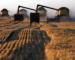 En réponse aux sanctions, Poutine menace de couper l’approvisionnement agricole