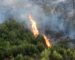 Le feu ravage les forêts de Béjaïa