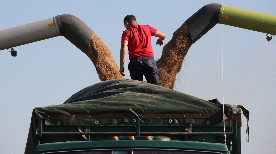 L’Algérie importera le blé et le lait de Russie : panique en France