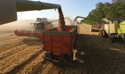 Une source autorisée explique pourquoi l’Algérie a décidé d’acheter le blé russe