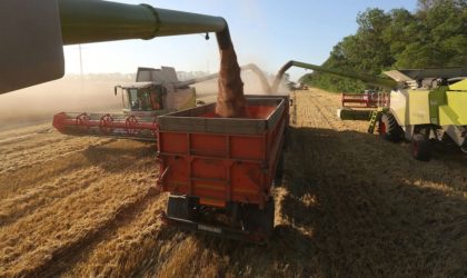Une source autorisée explique pourquoi l’Algérie a décidé d’acheter le blé russe
