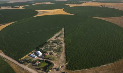 Ferroukhi aux agriculteurs : il faut introduire l’innovation pour plus de productivité