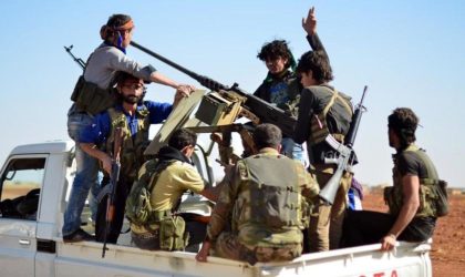 Que faisaient les éléments d’une faction armée syrienne à Tamanrasset ?
