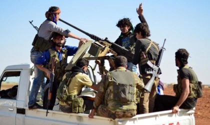 Que faisaient les éléments d’une faction armée syrienne à Tamanrasset ?